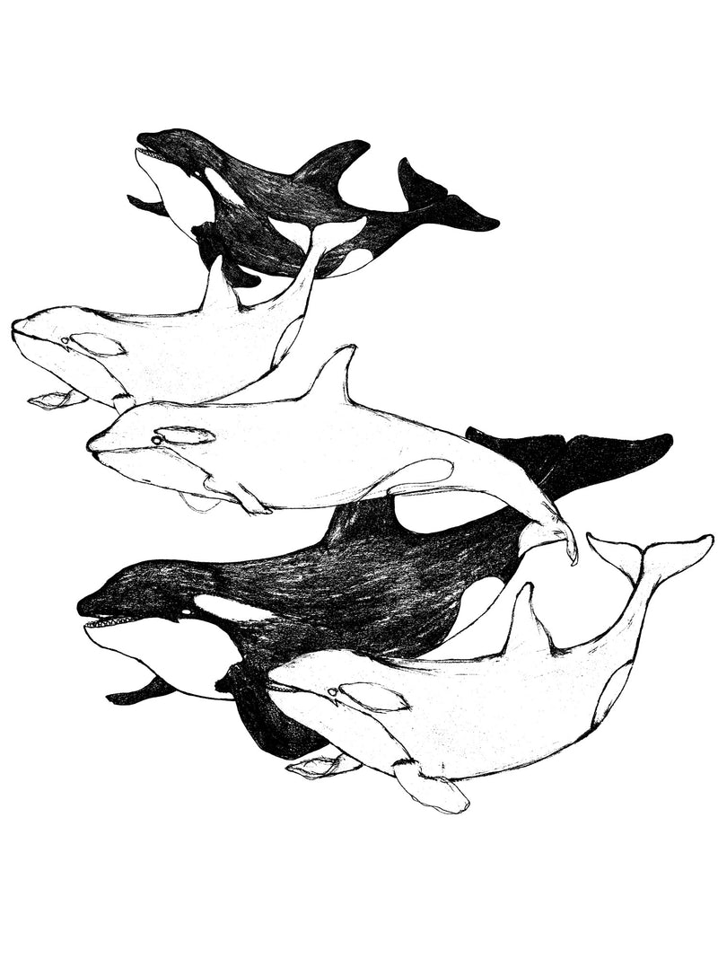 Orcas Tee