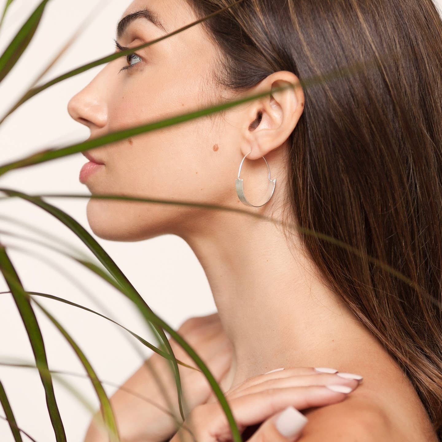 Brushed Hoop Earrings