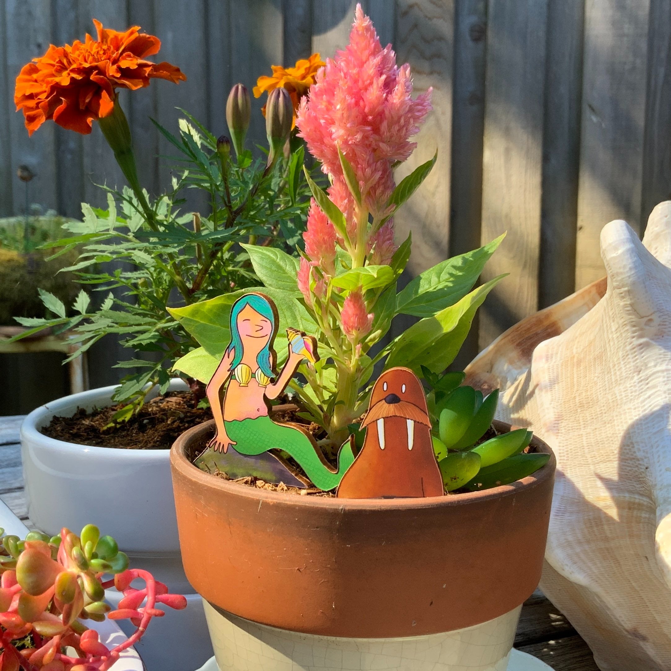 Mermaid Plant Diorama Kit