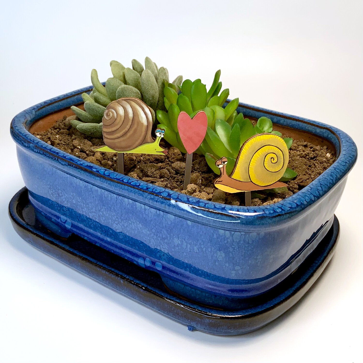 Fancy Plants Snail Love Diorama Kit