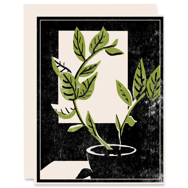 Plant By the Window Card