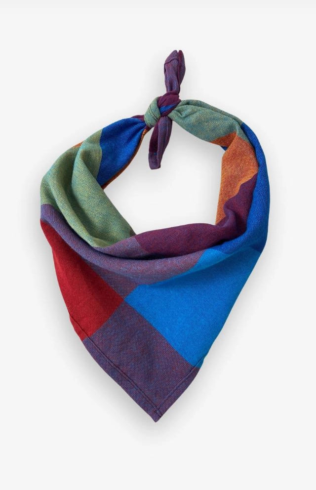 Rainbow Bandana