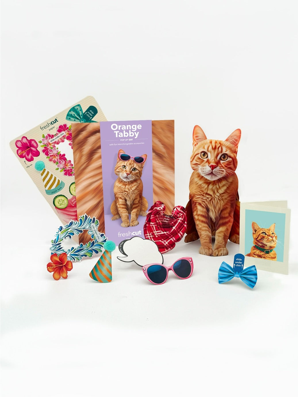 Pet Pop Up Card