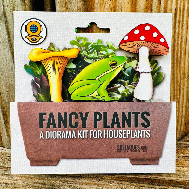 Frog and Mushroom Fancy Plant Kit