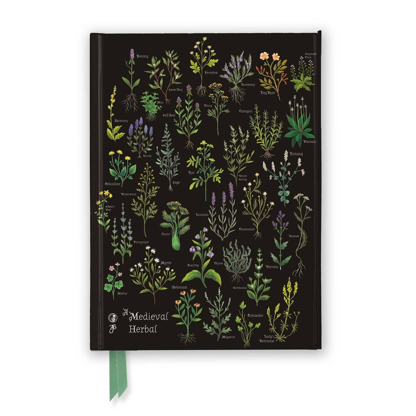 Journal with Magnet Clasps