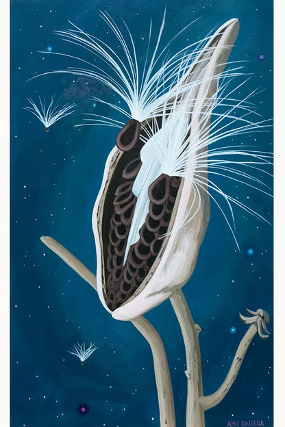 "Milkweed Seedpod" Giclee Fine Print