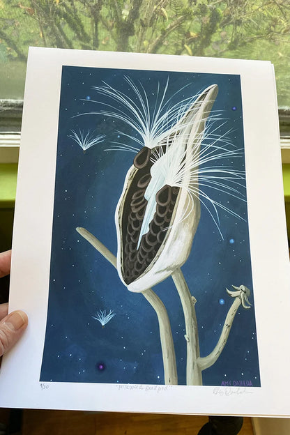 "Milkweed Seedpod" Giclee Fine Print