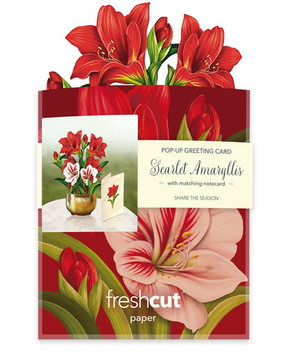 Mini Scarlet Amaryllis Pop-Up Card