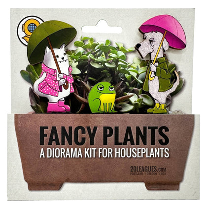 Raining Cats and Dogs Fancy Plant Kit