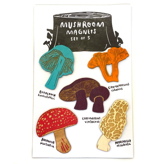 Mushroom Magnets - Set of 5