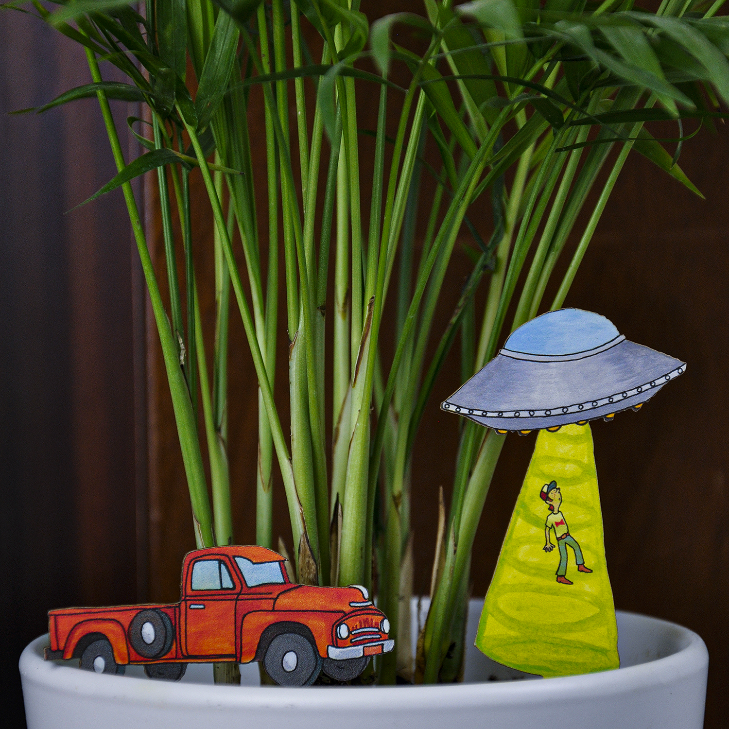 Fancy Plants UFO Abduction Diorama Kit